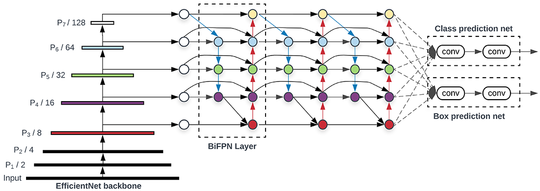 EfficientDet architecture