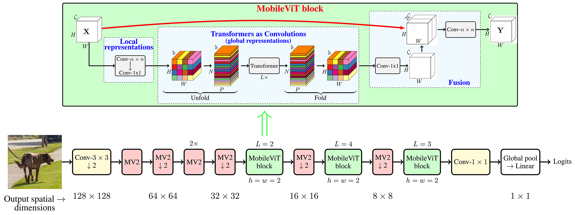 MobileViT Architecture