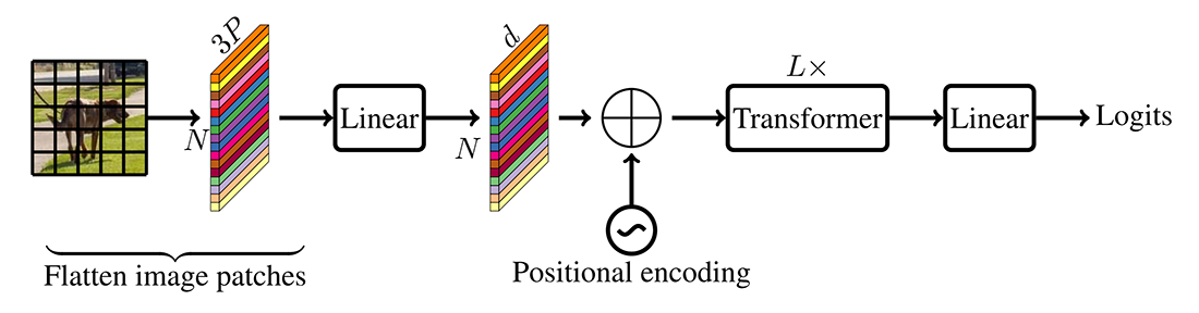 Standard visual transformer (ViT)